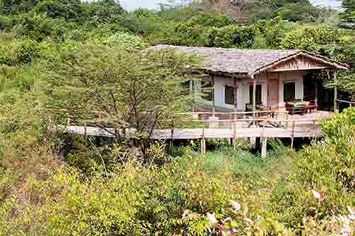 cassia lodge